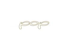 Raleigh RM6 'POP' Chain Guard Cover Label