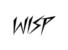 Raleigh RM7 Wisp Frame Logo Transfer Label