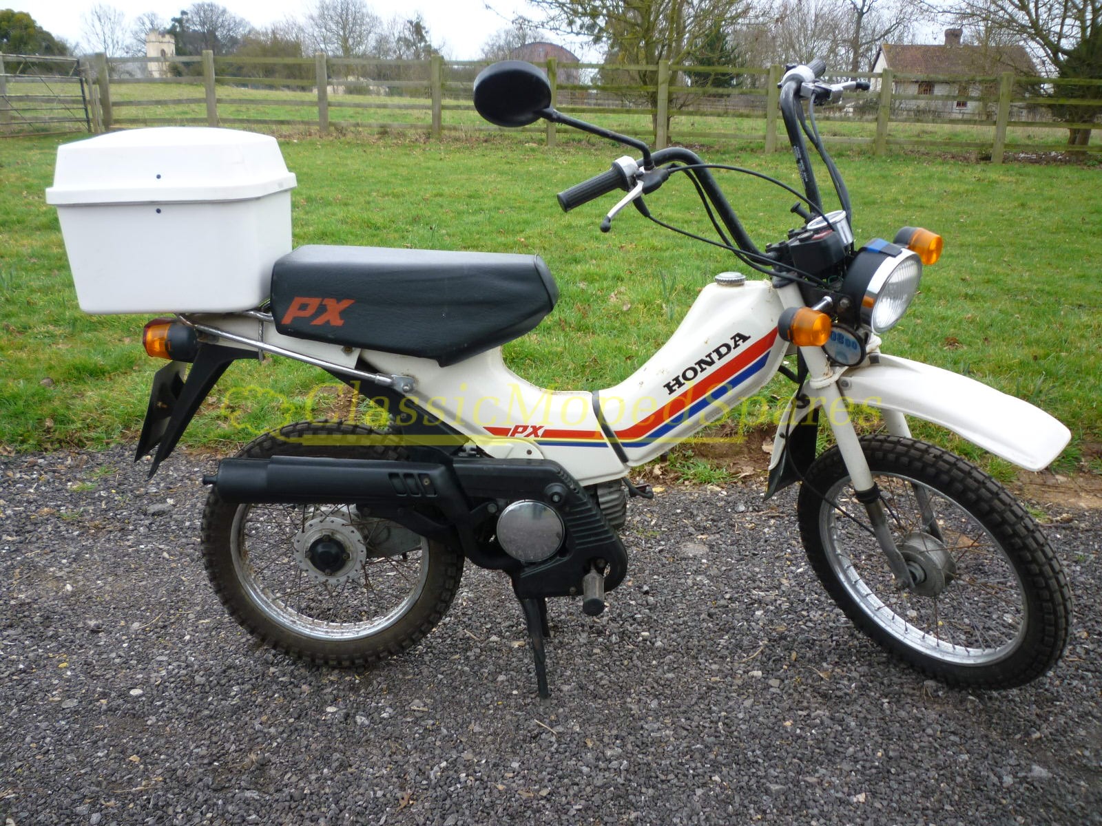 Honda PX50 Moped 1982 Retro Motorbike